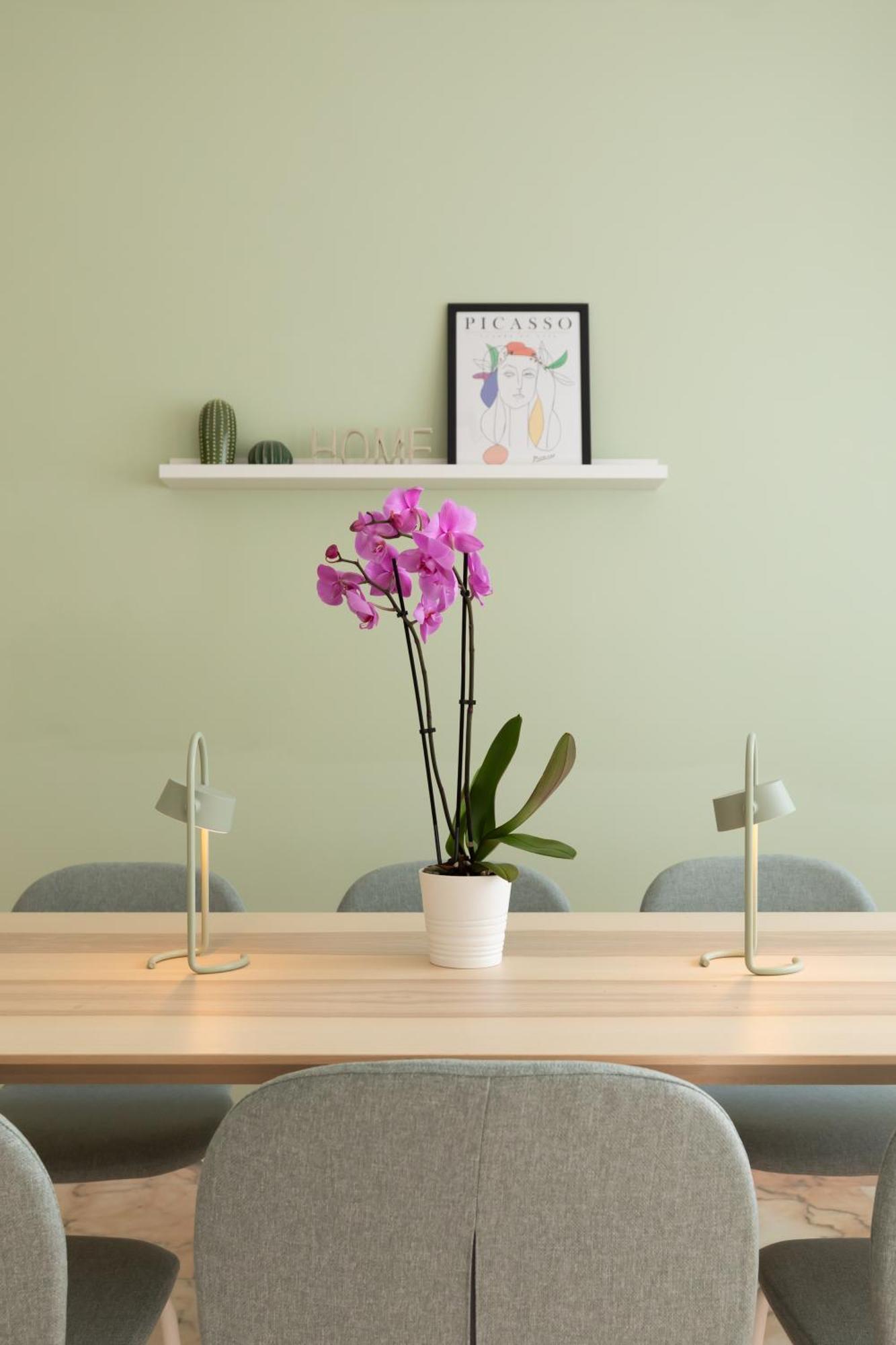 Domiziano Boutique Apartment Rom Eksteriør billede